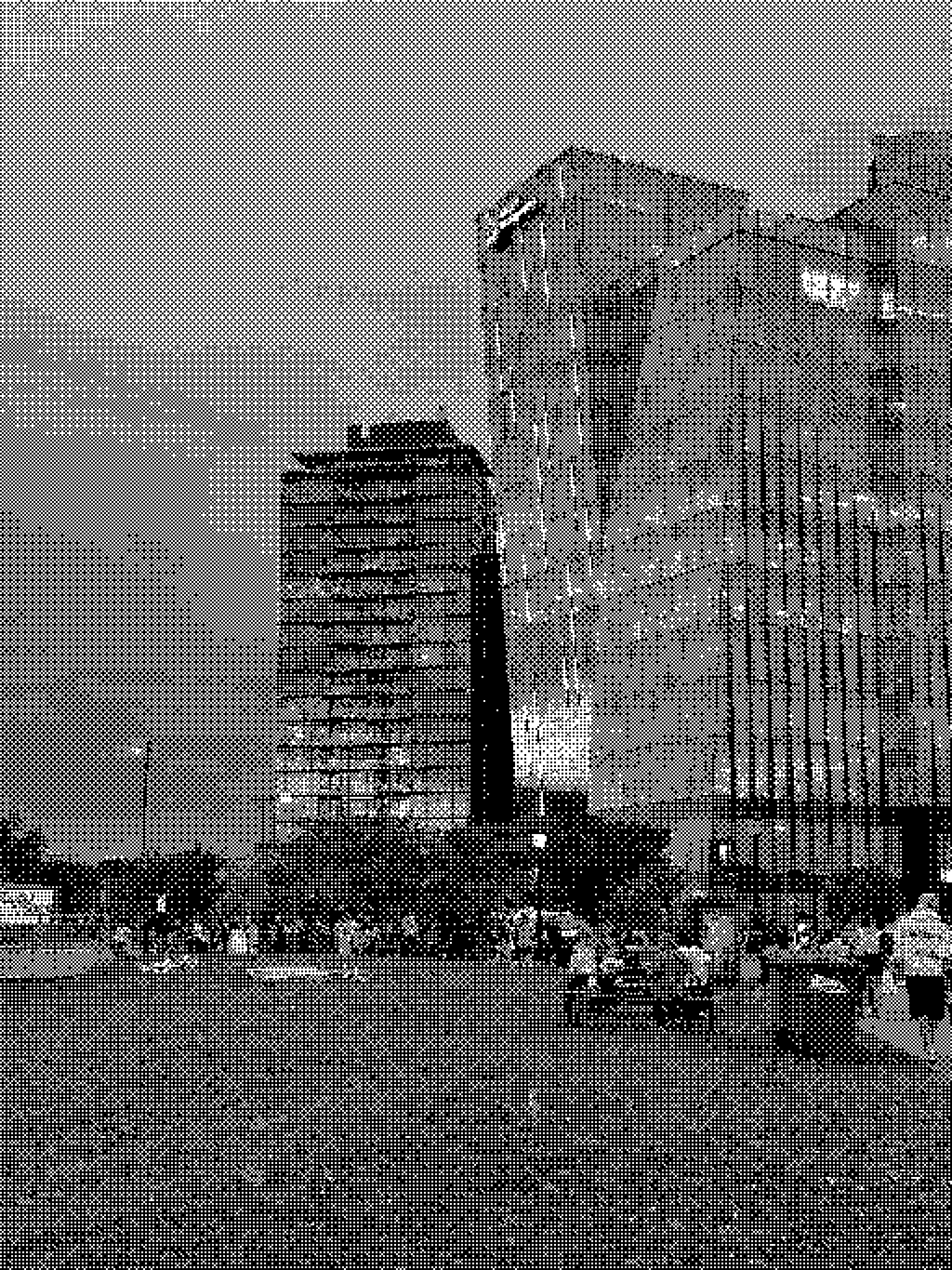 Glass towers above a park at sunset